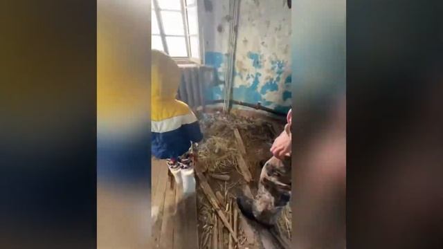 Маяк Анива смотреть онлайн