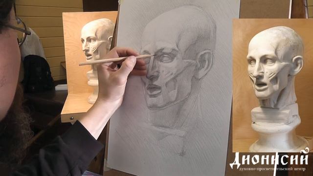 Рисунок экорше головы 5 часть смотреть онлайн