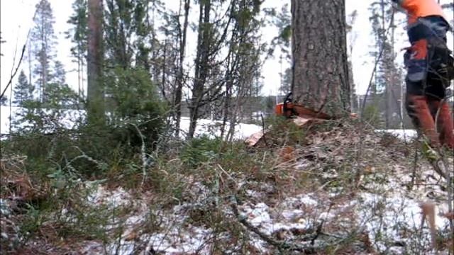 Logger dash смотреть онлайн