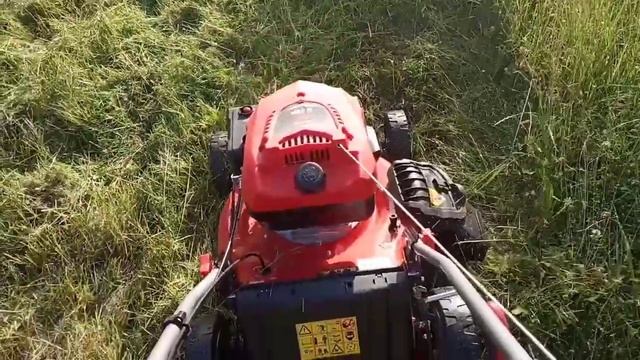Газонокосилка и высокая трава. Как газонокосилка косит высокую траву. ECO-633 смотреть онлайн