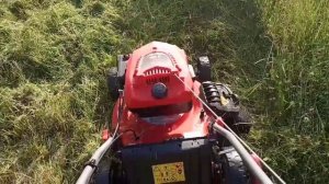 Газонокосилка и высокая трава. Как газонокосилка косит высокую траву. ECO-633