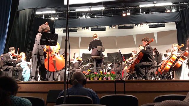 Concerto in D Major for Double Bass and Orchestra by Karl Ditters von Dittersdorf смотреть онлайн