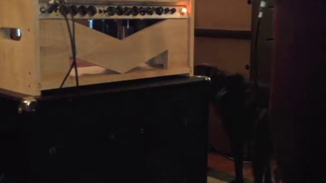 London Power Standard amp built into Fender Bassman 10 chassis смотреть онлайн