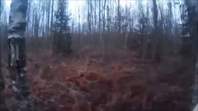 Марш-бросок в лес по боевым местам смотреть онлайн
