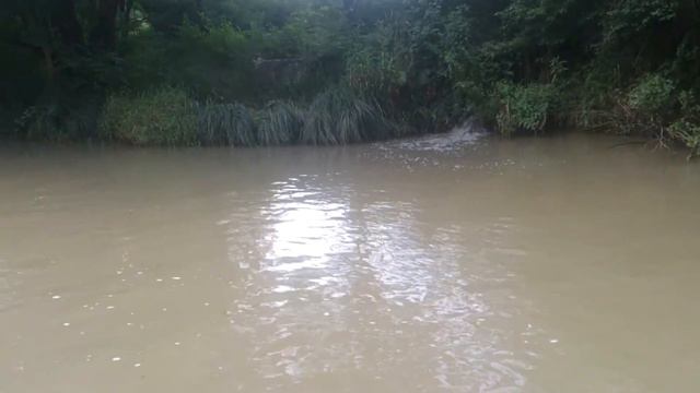 Камчия, Болгария, прогулка на речном трамвайчике, июль 2014 смотреть онлайн