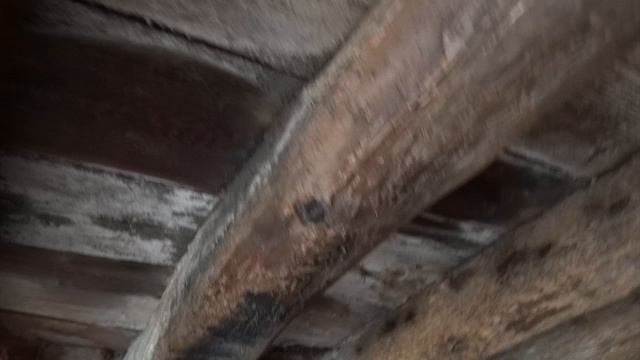 Зима в Европе клип