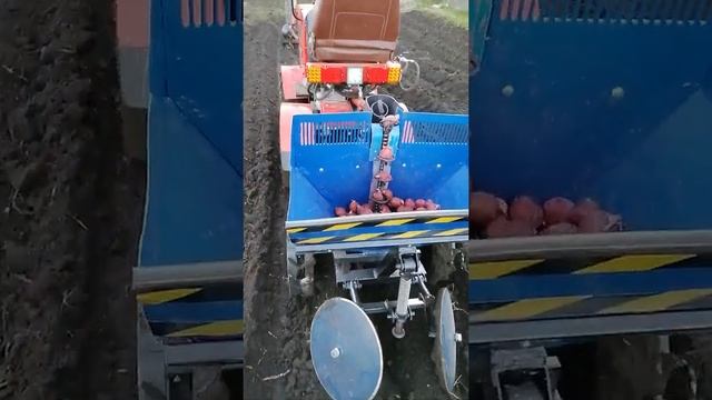 Самодельная картофелесажалка для минитрактора. смотреть онлайн