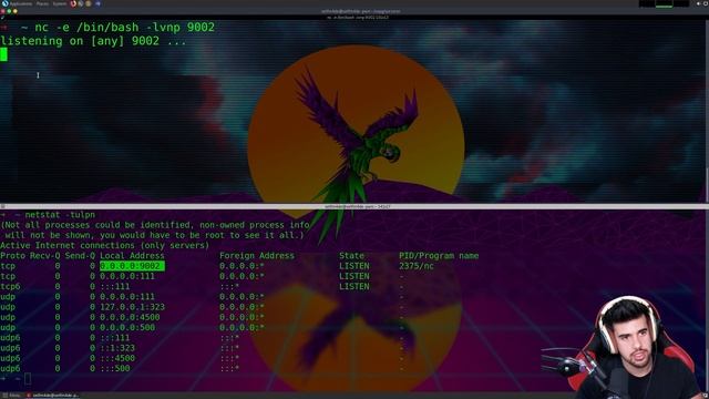 Netcat Reverse Shells vs Bind Shells смотреть онлайн