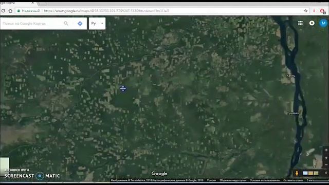 Леса исчезают смотреть онлайн