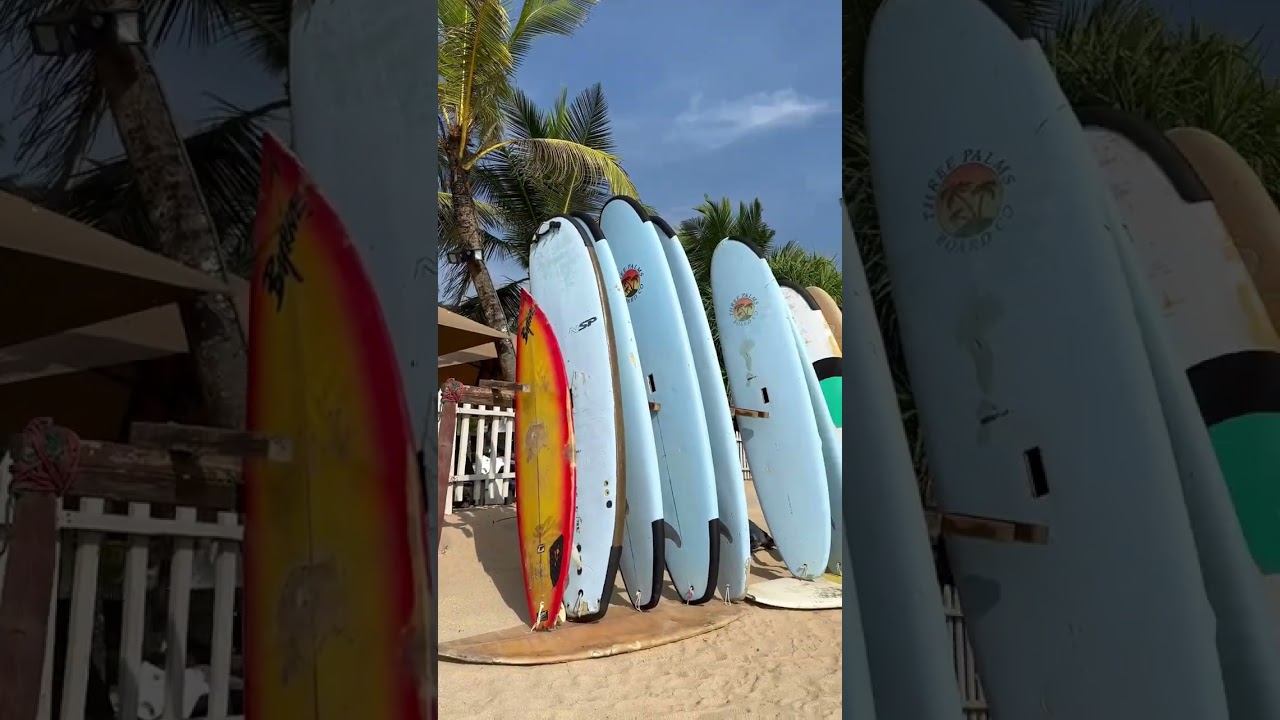 РУМ-ТУР ОТЕЛЯ на ШРИ-ЛАНКЕ! Часть 1 смотреть онлайн