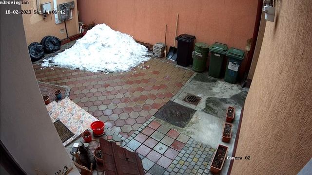 Surveillance Moments 46 HIKVISION DS-2CD2183G2-IU 2.8mm 4K My Cat Scared by Falling Snow смотреть онлайн