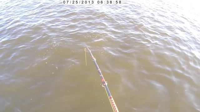 Сомик на 43 кг.  Квочение сома. Часть первая. Без ретуши! Юрий Философ. 2017 год.