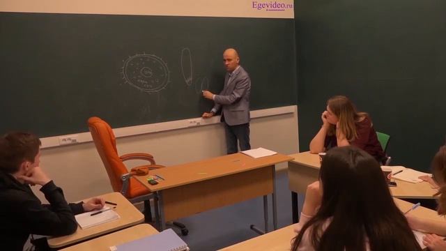 31. Хитрый вопрос ЕГЭ о зародышах семян: проверьте себя смотреть онлайн