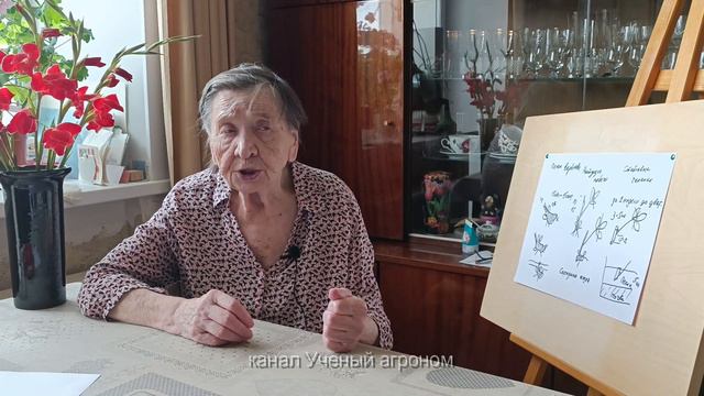 Малина. Смешанные почки и удобрение. смотреть онлайн