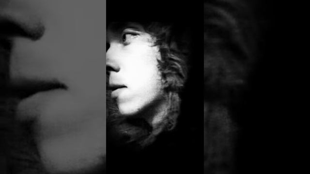 ФОТО ВЛОГ: КУДА УШЕЛ МОЙ ВОЛК?? ШТО? смотреть онлайн