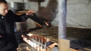 Курятник в землянке.