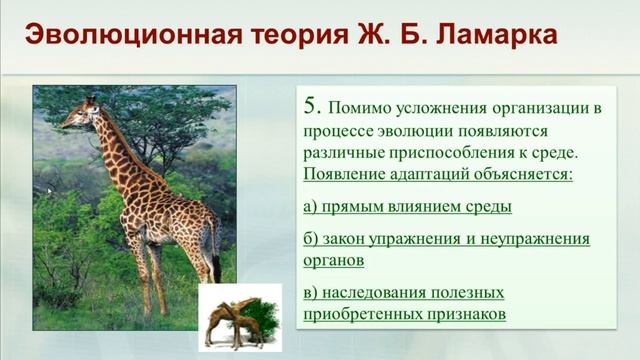 ГОТОВИМСЯ К ЕГЭ ПО БИОЛОГИИ-2020. Эволюционная теория Ж.Б. ЛАМАРКА смотреть онлайн
