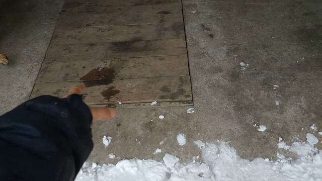 Команда, которую боится выполнять моя собака - немецкая овчарка, Джейкоб смотреть онлайн