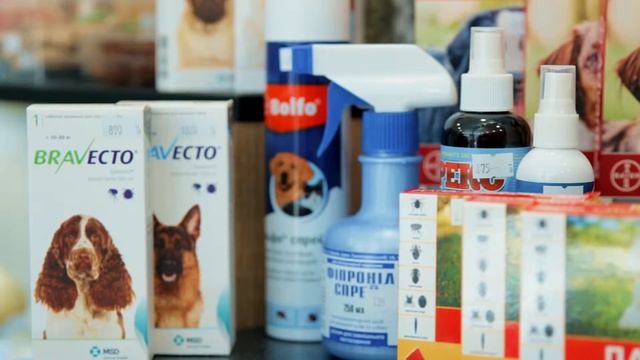 Зоо Товар магазин Барс г Бердянск смотреть онлайн