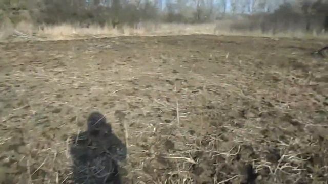 Почистили огород от бурьяна. смотреть онлайн