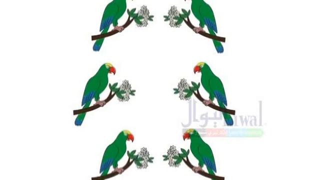 لومړی ټولګی شمېر شپږم لوست смотреть онлайн