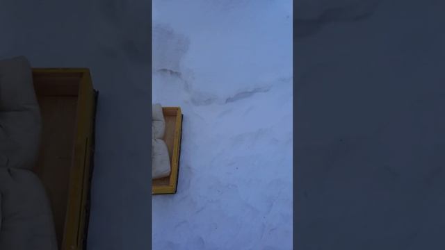 21 января 2023 г. смотреть онлайн