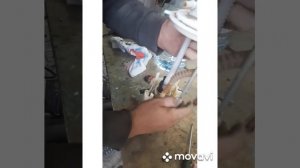 Замена топливного насоса, на Шевроле Нива