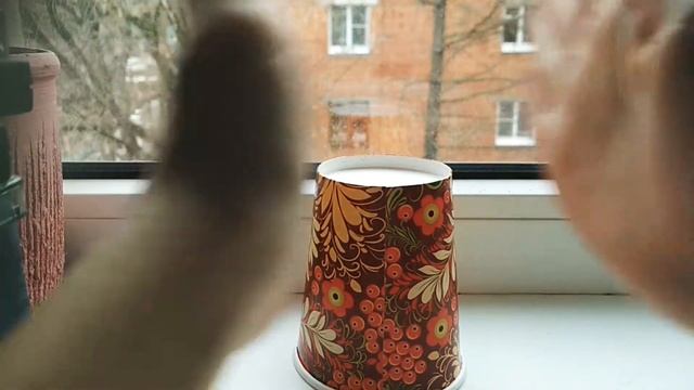 Как научиться играть на стакане?/Учу играть на стаканчике смотреть онлайн