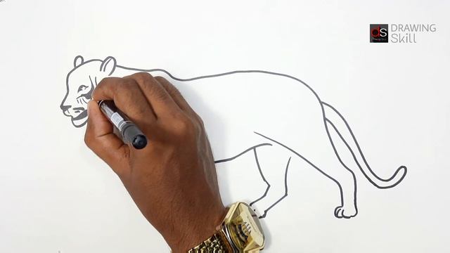 Tiger Drawing Most Simple Trick ? смотреть онлайн