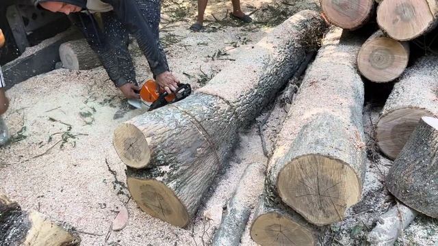 31 серпня 2023 р.?Ясен? смотреть онлайн