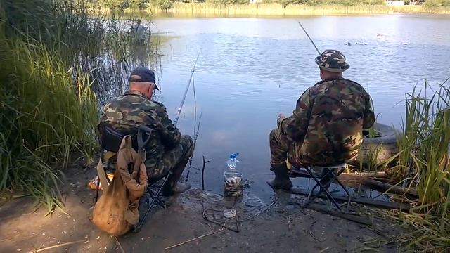 Богатый улов на двоих: тихая охота на Летнем озере в Калининграде смотреть онлайн