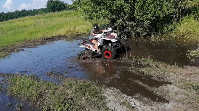 Квадроцикл Sharmax 180cc