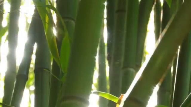 «Как сердцу высказать себя?..» Часть 3 смотреть онлайн