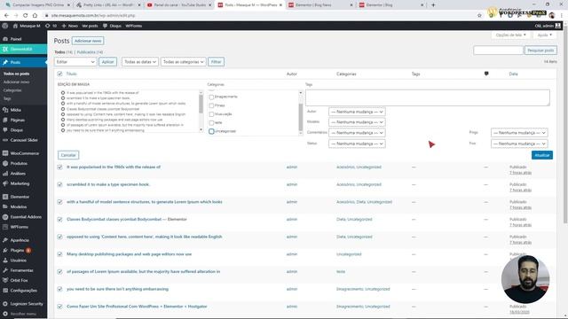 Paginação Resolvido: Página De Blog Post Usando Elementskit Com Elementor смотреть онлайн