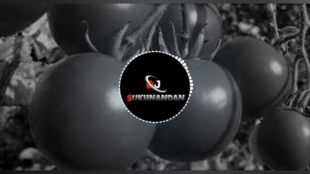 pake patal dikhema lale lal new song/dj Sukhnandan & remix by dj aary смотреть онлайн