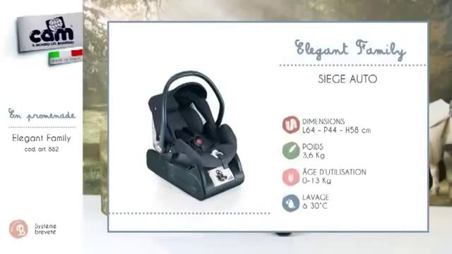 Коляска Cam Elegant Family Low смотреть онлайн