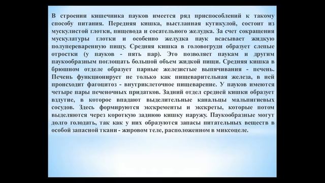 Животные (Часть 55) - Класс Паукообразные смотреть онлайн