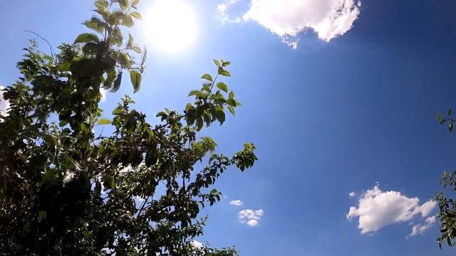 Знаки внимания, которые ценит каждая женщина смотреть онлайн