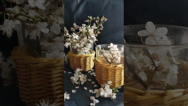 #плетение #diy #craftideas #плетениедляначинающих #craft смотреть онлайн