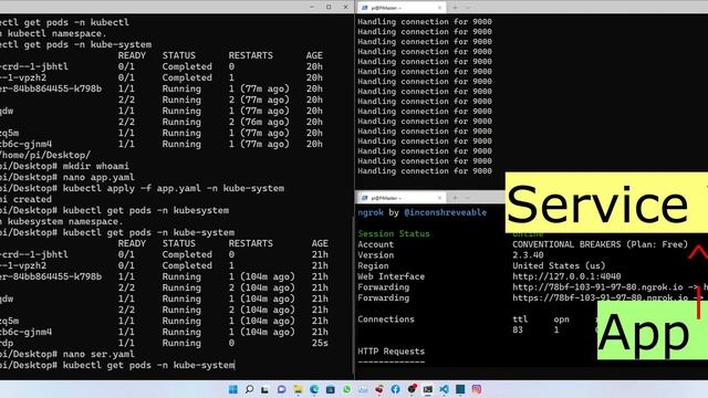 1st Application Deployment on K3s Cluster raspberry pi смотреть онлайн