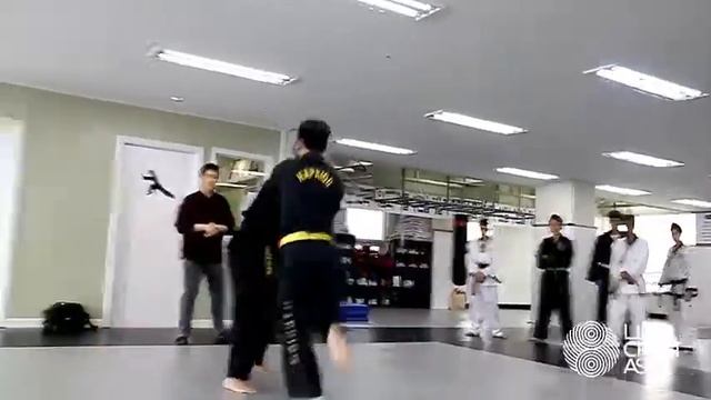Korea Tukkong Musool - Authentic Korean Martial Arts Training in Seoul - KOREA March 2019 смотреть онлайн