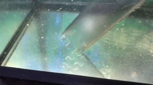 Пылесос для аквариума. Обзор и принцип работы.