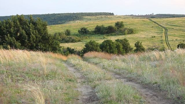 Рукава от жилетки смотреть онлайн