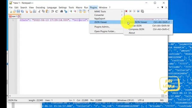 [TIPS N TRIK] FORMAT JSON PAKE PLUGIN JSON VIEWER DI NOTEPAD++ смотреть онлайн