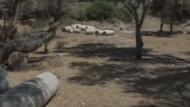 От Аскалона до Ашкелона. Прогулка по Израилю. смотреть онлайн