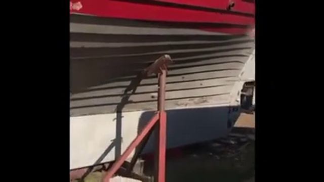 Colin Archer Cutter 40ft смотреть онлайн