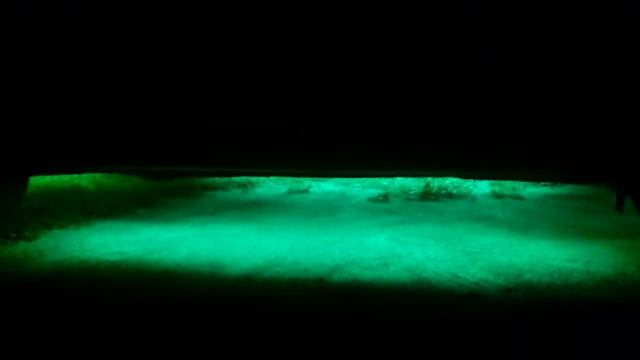 Светодиодная подсветка WV B3 смотреть онлайн