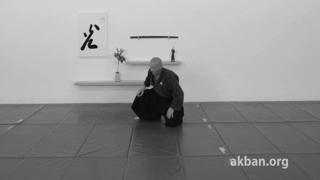 Back roll, Ninjutsu, Ushiro kaiten, basic -- techniques for Akban wiki смотреть онлайн