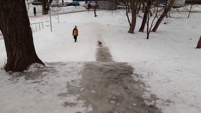 Акулка спуск лёд горка !) смотреть онлайн