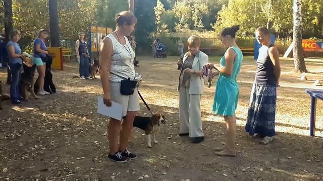 Награждение участников и призёров соревнований по ОКД ЗКС среди новичков. смотреть онлайн